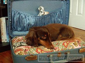 Casinha de cachorro из чемодана
