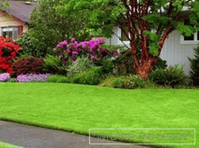Conselhos de especialistas sobre como garantir uma boa e bela vista do gramado